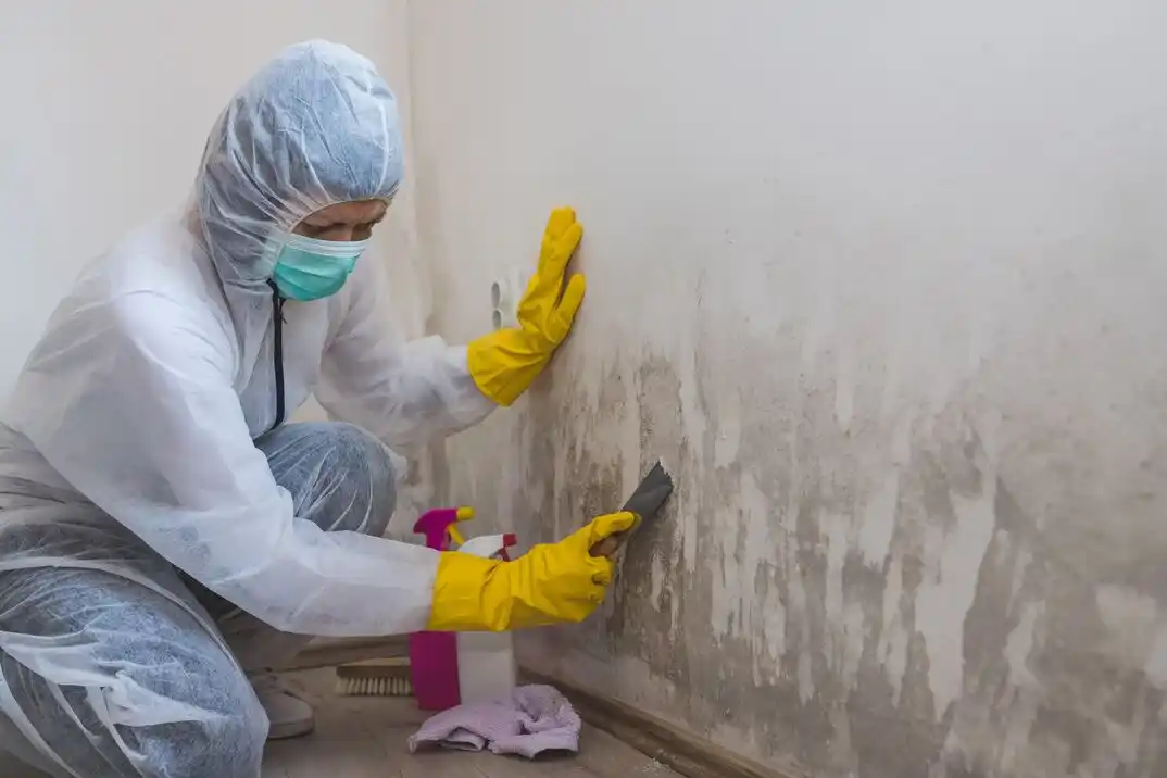 water damage restoration service Northest Industrial District